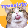 icon com.silkairtechasia.heypetscat(Mens-naar-kat vertaler: echte kattengeluiden, katten-app
)