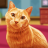 icon My Little Kitten Cat Simulator(My Little Kitten Cat Simulator
) 1.4