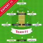 icon Dream Team 11 Prediction(Dream Team 11 Voorspelling
)