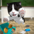 icon Cat Sim(Cat Simulator - Kittenverhalen) 5.4.1