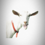 icon Goat Simulator