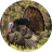 icon Turkey Calls(Turkije roept op) 5.0