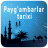 icon Paygambarlar tarixi(Payg'ambarlar tarixi Audio
) 4.0