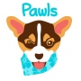 icon Pawls.co(Selectos Easy
)