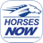 icon Horses Now(HorseRacesNow) 3.4.8