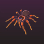 icon Arachnifiles (Arachnifiles
)