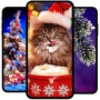 icon Christmas wallpapers HD+(Christmas Wallpaper)