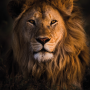 icon Lion Sounds(Lion Sounds and Ringtone)