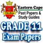 icon Grade 11 Eastern Cape Papers (Grade 11 Eastern Cape Papers
)