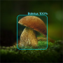 icon mushapp(Mushroom Identifier - detectie en classificatie
)