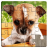 icon Dog Puzzles(Dogs Jigsaw Puzzle Game Kids) 31.5