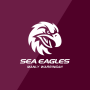icon Manly-Warringah Sea Eagles (Manly-Warringah Zeearenden)