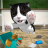 icon Cat Sim(Cat Simulator - Kittenverhalen) 5.0.8