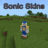 icon Sonic Mod(Skins Sonic voor Minecraft PE
) 1.56