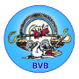 icon Bharti Vidya Bhawan Banswara(Bharti Vidhya Bhawan Banswara)