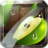 icon Fruit Slice 1.4.5