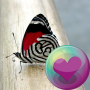 icon Butterflies HD Wallpapers (Vlinders HD Wallpapers)