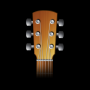 icon Acoustic Guitar Tuner(akoestische gitaar Tuner)