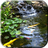 icon Pond with Koi Video Wallpaper(Vijver met Koi Live Wallpaper) 5.0