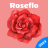 icon RoseFlo Period Tracker(RoseFlo Periodetracker) 1.0.8