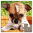 icon Dog Puzzles(Dogs Jigsaw Puzzle Game Kids) 33.5