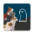icon Cats Who Stare At Ghosts(die naar spoken staren) 1.1.10