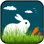 icon New Bunny Run(Bunny Run)