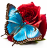 icon Good Morning(Goedemorgenberichten Afbeeldingen) 4.0.2