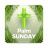icon Palm Sunday Wishes(Palmzondag Wensen) 2.69.1