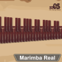 icon Marimba, Xylophone, Vibraphone Real(Marimba, Xylophone, Vibraphone)