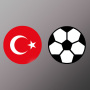 icon Türkiye Süper Lig Simülasyon (Turkije Super League-simulatie)