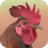 icon Rooster Sounds(Rooster klinkt) 2.0