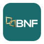 icon BNF(BNF Paraguay)