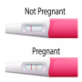 icon Pregnancy test & signs guide (Gids voor zwangerschapstest en tekenen)