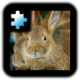 icon Rabbit(Jigsaw Puzzle: Rabbit)