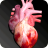 icon Circulatory System in 3D Anatomy(Circulatory System 3D Anatomy) 1.85
