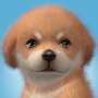 icon Solitaire(Solitaire Hond - Kaart Spel)