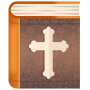 icon Study Bible for young people (Studiebijbel voor jongeren)