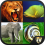 icon Animals Encyclopedia(Dierenencyclopedie Offline)