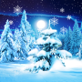 icon Winter Forest Live Wallpaper