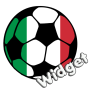 icon Widget Calcio()
