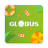 icon Globus(Globus
) 6.16