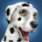 icon DogWorld(DogWorld - mijn schattige puppy) 1.0