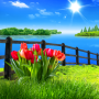 icon Spring Live Wallpaper (Lente Live Achtergrond)