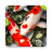 icon Koi Fish Wallpaper(Koi Vissen Live Wallpaper) 22.4.24