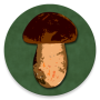 icon Book of mushrooms(Book of Mushrooms)