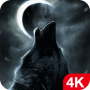 icon Wolf Wallpapers 4K & Free HD Background Images (Wolf-achtergronden 4K en gratis HD-achtergrondafbeeldingen
)