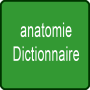 icon anatomie Dictionnaire (anatomie woordenboek)