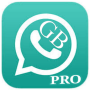 icon Gb Pro Version(GB Welke app-versie
)