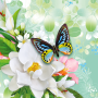 icon Butterflies Live Wallpaper(Vlinders Live Wallpaper)